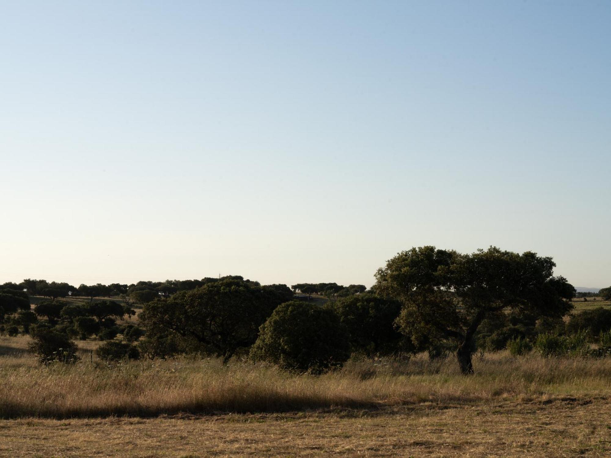 Change The World - Herdade Monte Do Peral Montes Juntos Εξωτερικό φωτογραφία