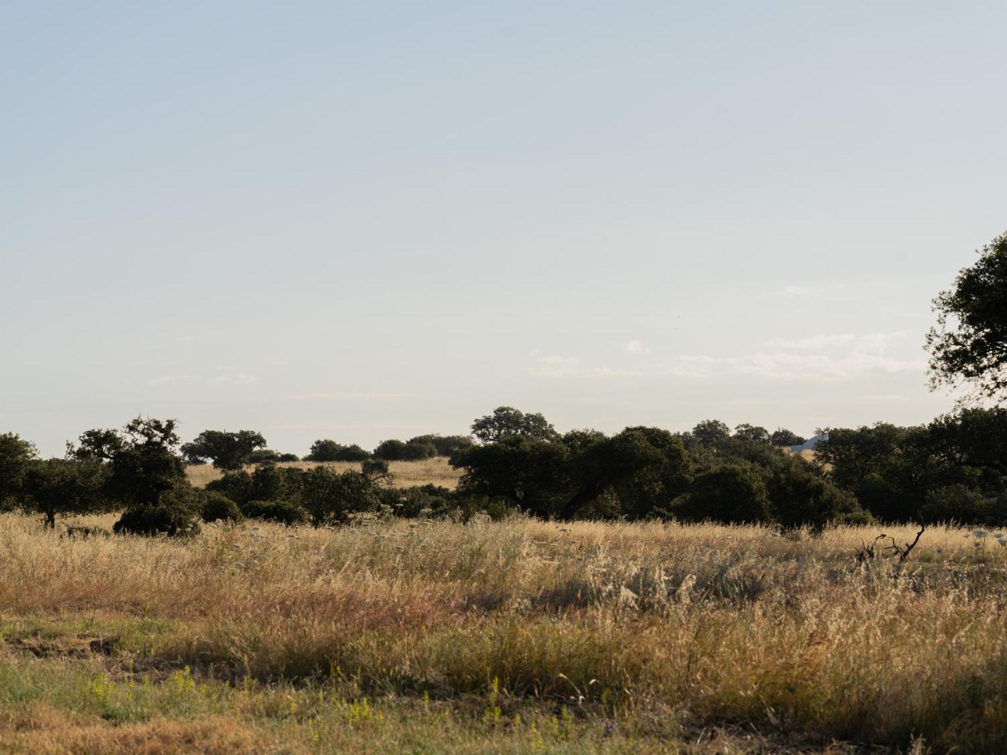 Change The World - Herdade Monte Do Peral Montes Juntos Εξωτερικό φωτογραφία